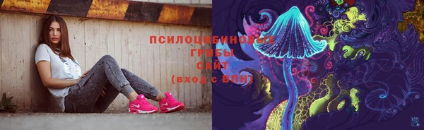 стафф Богданович