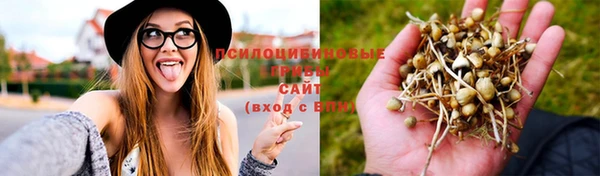 дживик Богородск