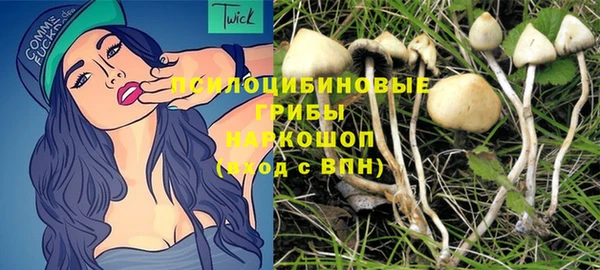 ешки Белокуриха