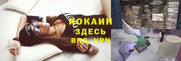 дживик Богородск