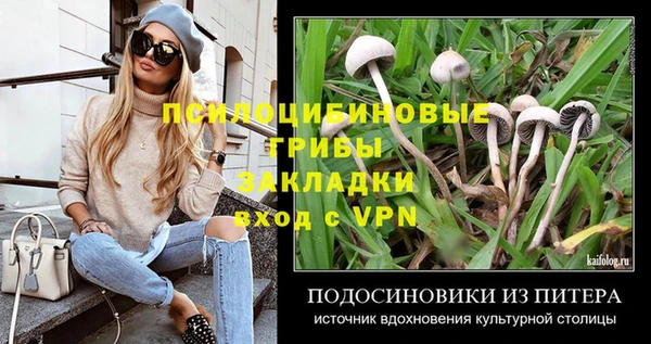 стафф Богданович